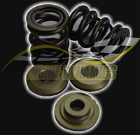 Catcams Uprated Valve Spring Set with Retainers