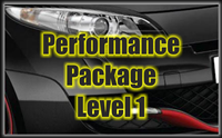 Megane 250 / 265 / 275 Performance Package Level 1
