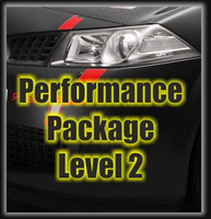 Megane 225 / 230 Performance Package Level 2
