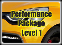 Clio 200 EDC 1.6 Turbo Performance Package Level 1