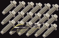 Sump Bolt Set (21)