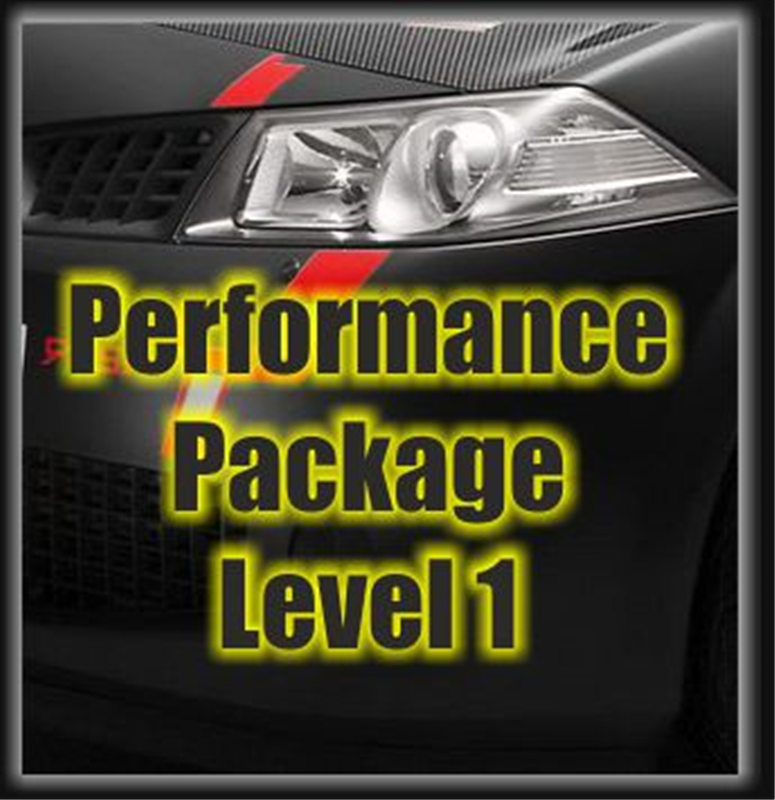 Megane 225 / 230 Performance Package Level 1